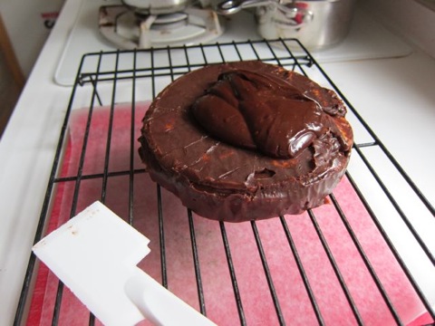 Chocolate Biscuit Cake 9