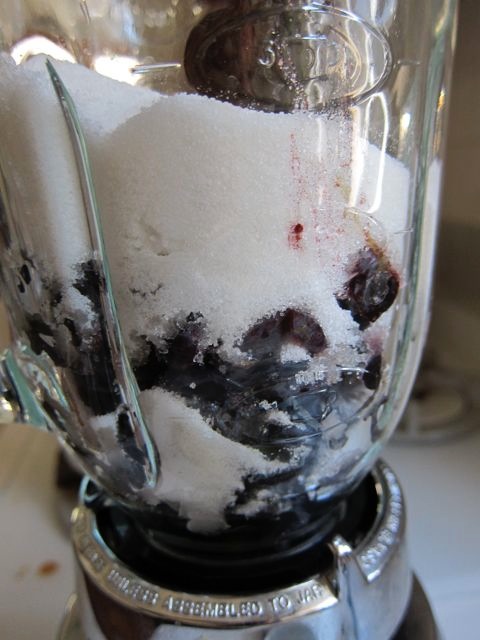 Concord grape jelly 4