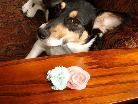 Piper poses with corsage