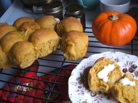 Pumpkin rolls finished